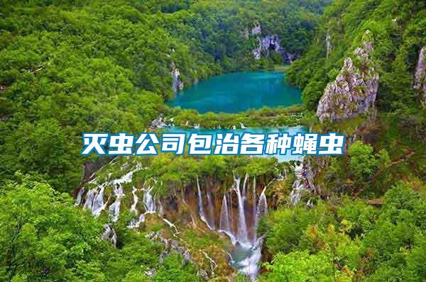 滅蟲(chóng)公司包治各種蠅蟲(chóng)