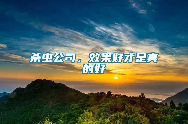 殺蟲公司，效果好才是真的好