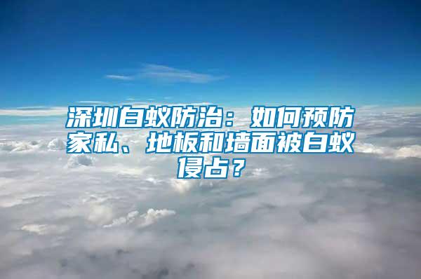 深圳白蟻防治：如何預(yù)防家私、地板和墻面被白蟻侵占？