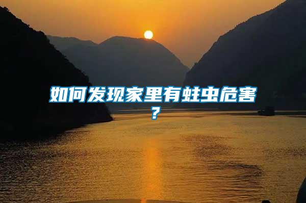 如何發(fā)現家里有蛀蟲危害？