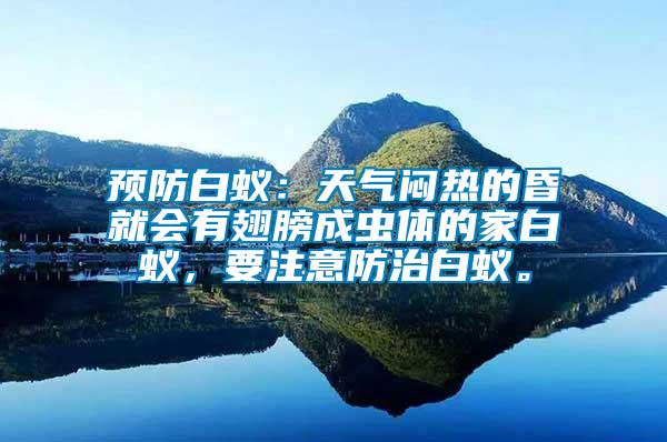 預防白蟻：天氣悶熱的昏就會有翅膀成蟲體的家白蟻，要注意防治白蟻。