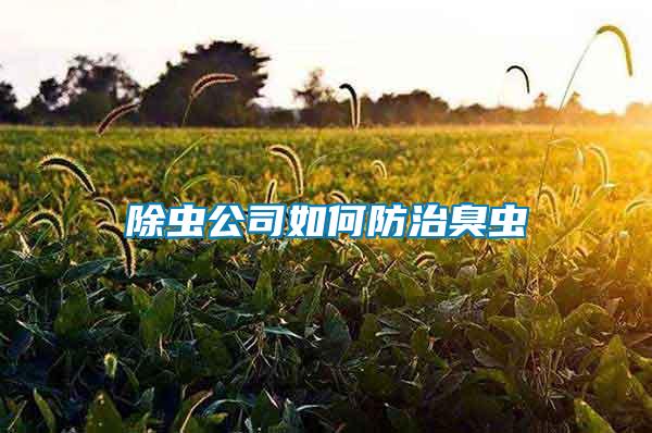 除蟲(chóng)公司如何防治臭蟲(chóng)