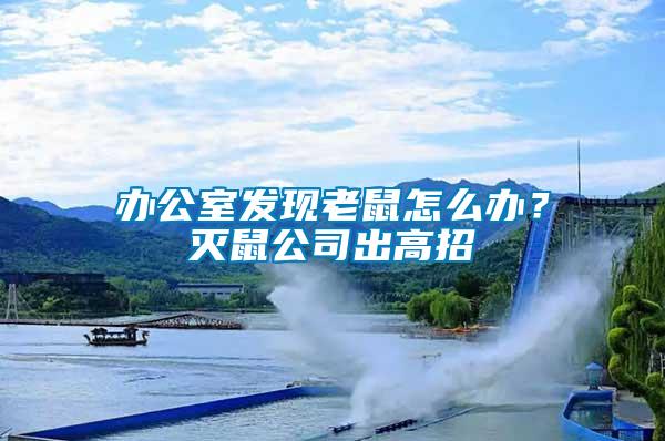 辦公室發現老鼠怎么辦？滅鼠公司出高招