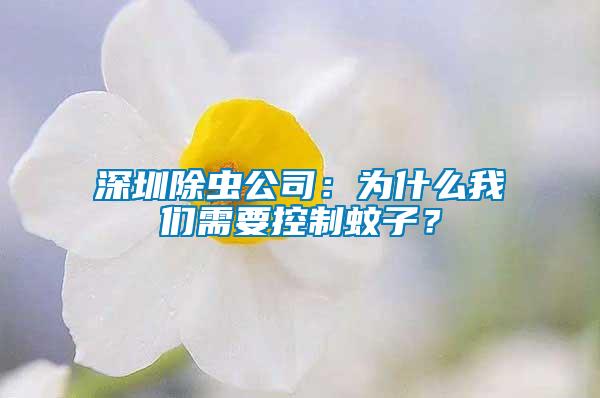 深圳除蟲公司：為什么我們需要控制蚊子？