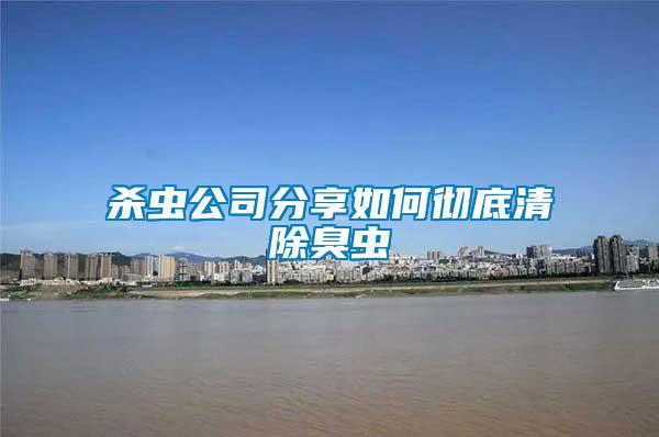 殺蟲(chóng)公司分享如何徹底清除臭蟲(chóng)