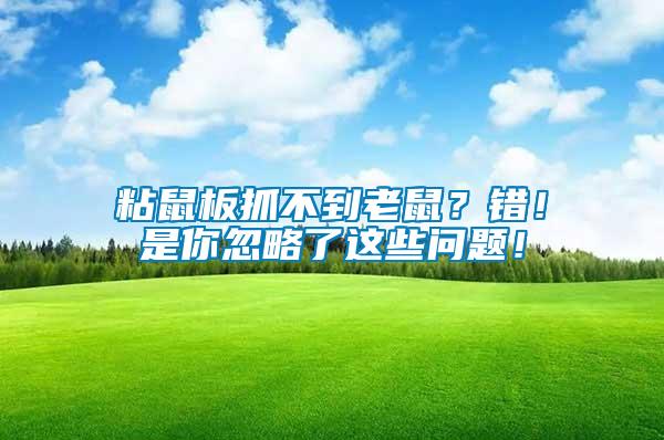 粘鼠板抓不到老鼠？錯！是你忽略了這些問題！
