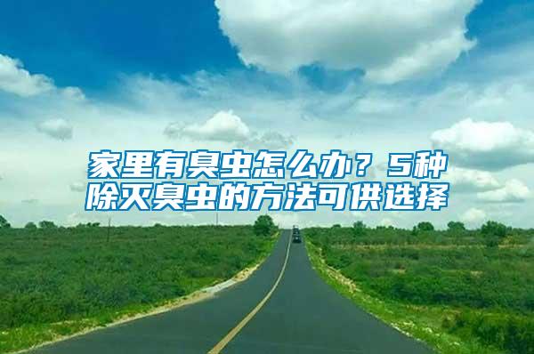 家里有臭蟲怎么辦？5種除滅臭蟲的方法可供選擇