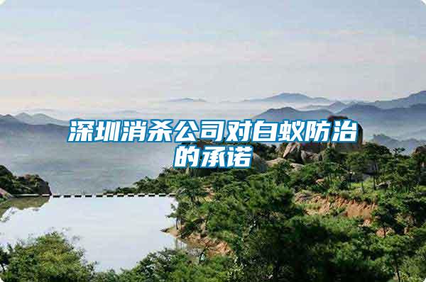 深圳消殺公司對(duì)白蟻防治的承諾