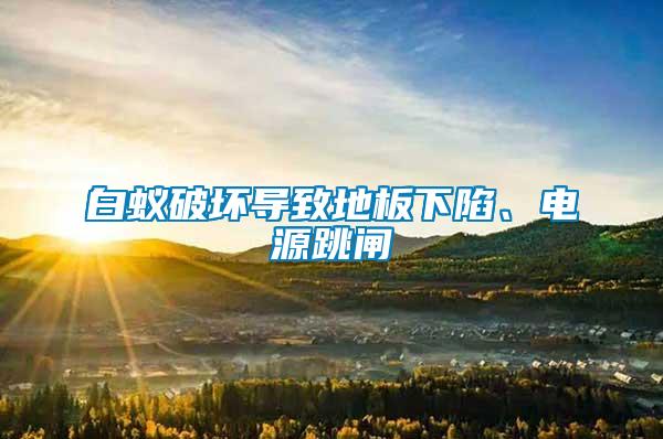 白蟻破壞導致地板下陷、電源跳閘