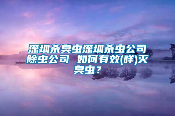 深圳殺臭蟲(chóng)深圳殺蟲(chóng)公司除蟲(chóng)公司 如何有效(咩)滅臭蟲(chóng)？