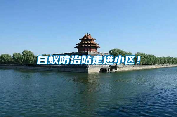 白蟻防治站走進小區(qū)！