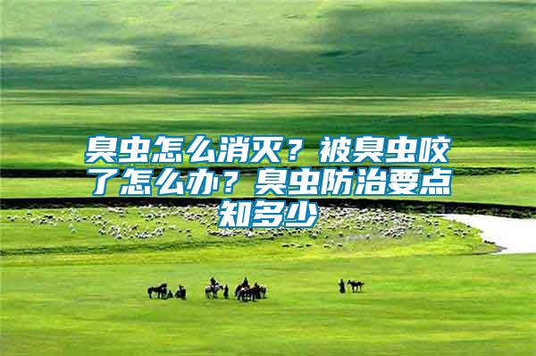 臭蟲怎么消滅？被臭蟲咬了怎么辦？臭蟲防治要點(diǎn)知多少