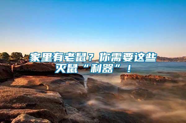 家里有老鼠？你需要這些滅鼠“利器”！