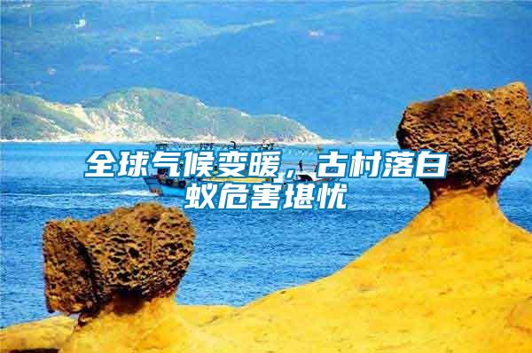 全球氣候變暖，古村落白蟻危害堪憂(yōu)