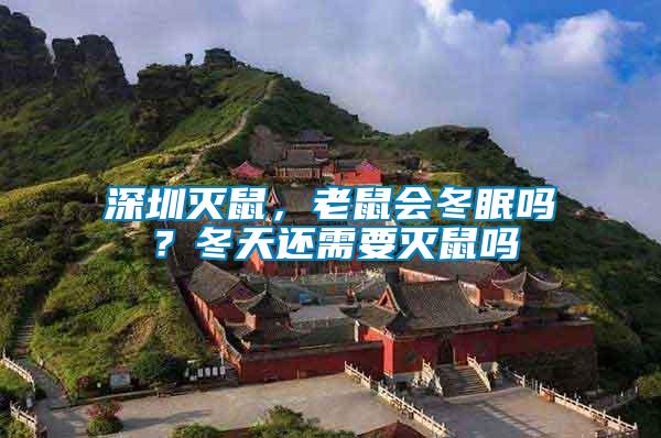 深圳滅鼠，老鼠會冬眠嗎？冬天還需要滅鼠嗎