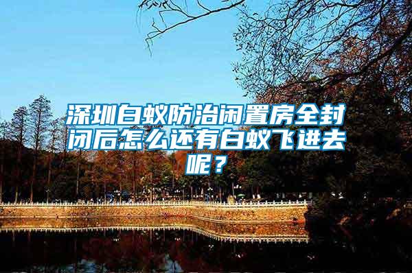 深圳白蟻防治閑置房全封閉后怎么還有白蟻飛進(jìn)去呢？