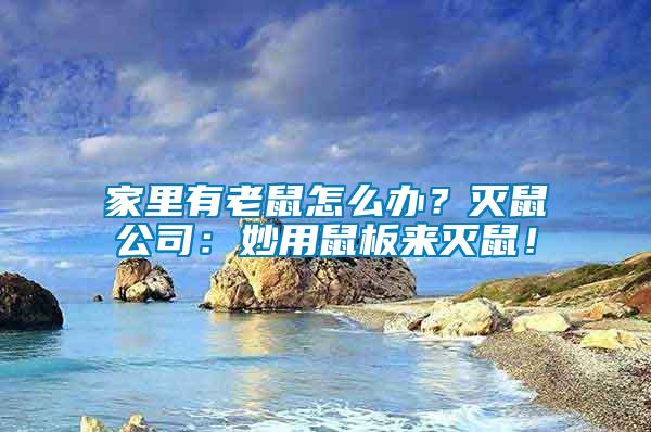 家里有老鼠怎么辦？滅鼠公司：妙用鼠板來滅鼠！