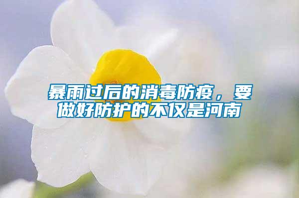 暴雨過后的消毒防疫，要做好防護的不僅是河南