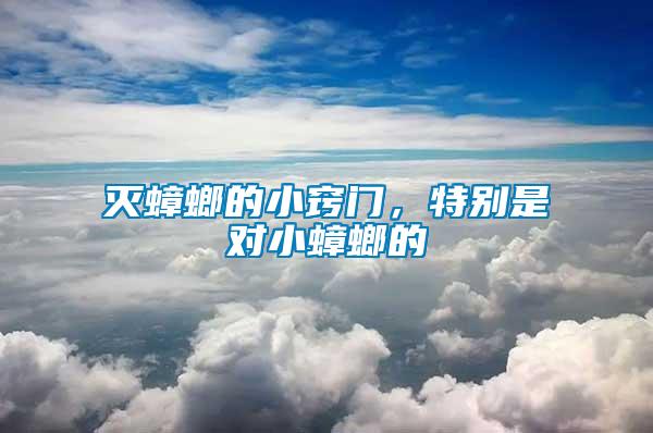 滅蟑螂的小竅門，特別是對小蟑螂的