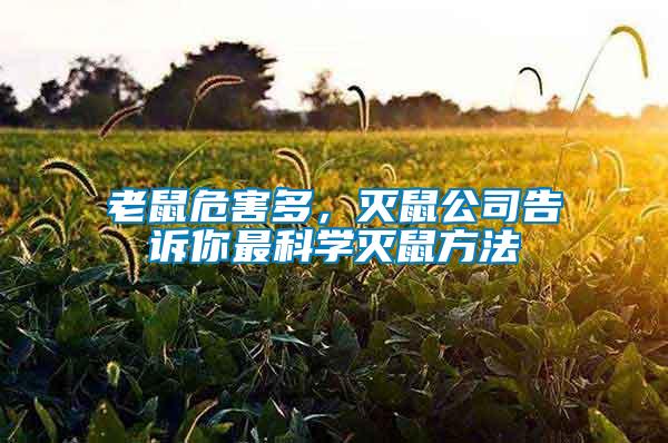 老鼠危害多，滅鼠公司告訴你最科學(xué)滅鼠方法
