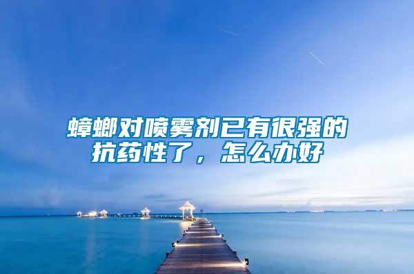 蟑螂對噴霧劑已有很強的抗藥性了，怎么辦好