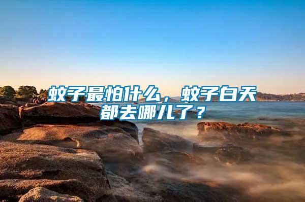 蚊子最怕什么，蚊子白天都去哪兒了？