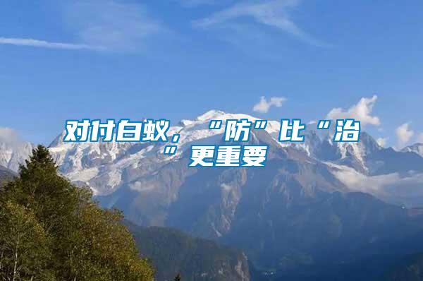 對(duì)付白蟻，“防”比“治”更重要