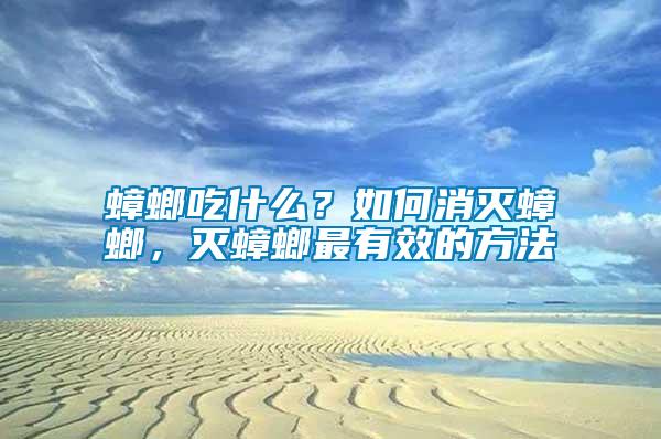 蟑螂吃什么？如何消滅蟑螂，滅蟑螂最有效的方法