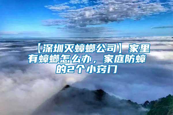 【深圳滅蟑螂公司】家里有蟑螂怎么辦，家庭防蟑的2個小竅門