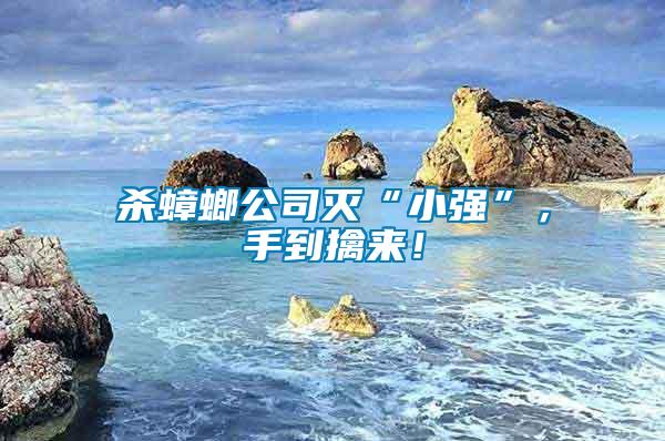 殺蟑螂公司滅“小強(qiáng)”，手到擒來(lái)！