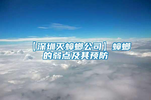 【深圳滅蟑螂公司】蟑螂的弱點及其預(yù)防
