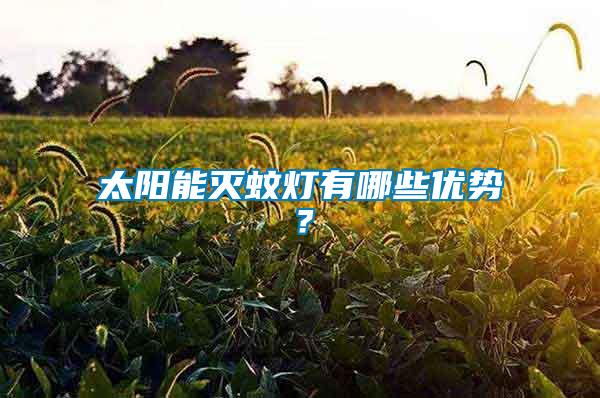 太陽能滅蚊燈有哪些優(yōu)勢(shì)？