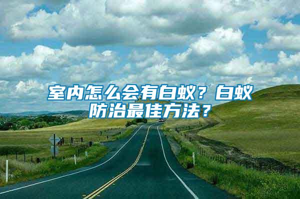室內怎么會有白蟻？白蟻防治最佳方法？