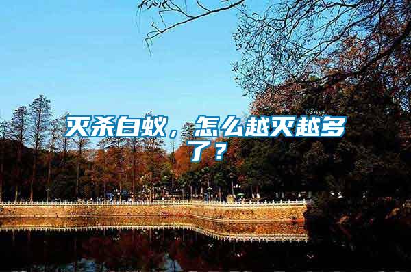 滅殺白蟻，怎么越滅越多了？