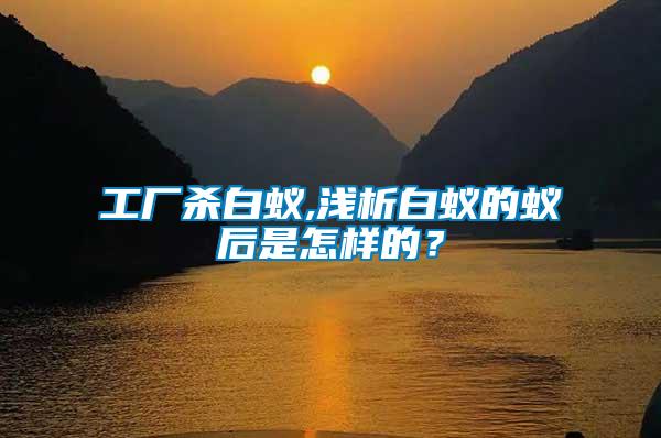 工廠殺白蟻,淺析白蟻的蟻后是怎樣的？