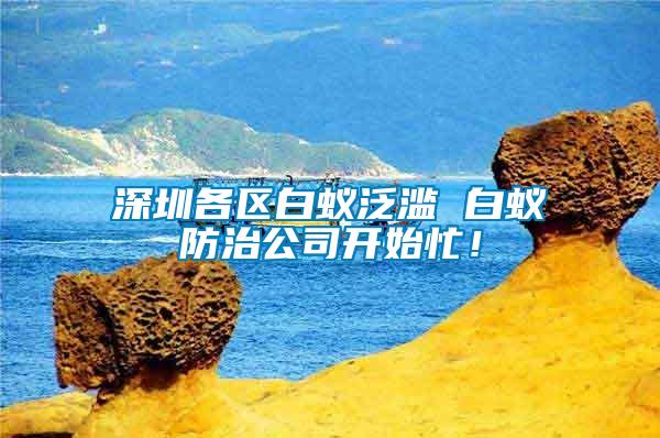 深圳各區(qū)白蟻泛濫 白蟻防治公司開始忙！