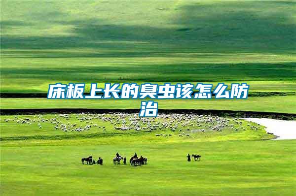 床板上長(zhǎng)的臭蟲該怎么防治