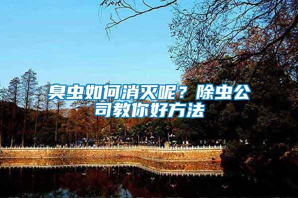 臭蟲如何消滅呢？除蟲公司教你好方法