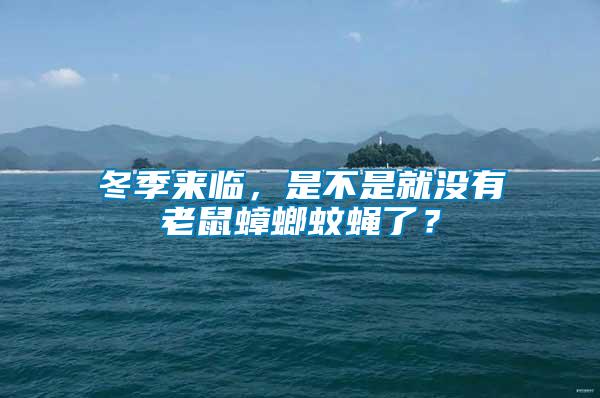 冬季來臨，是不是就沒有老鼠蟑螂蚊蠅了？