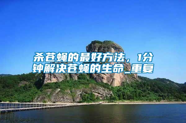 殺蒼蠅的最好方法，1分鐘解決蒼蠅的生命_重復