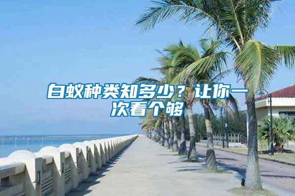 白蟻種類知多少？讓你一次看個夠