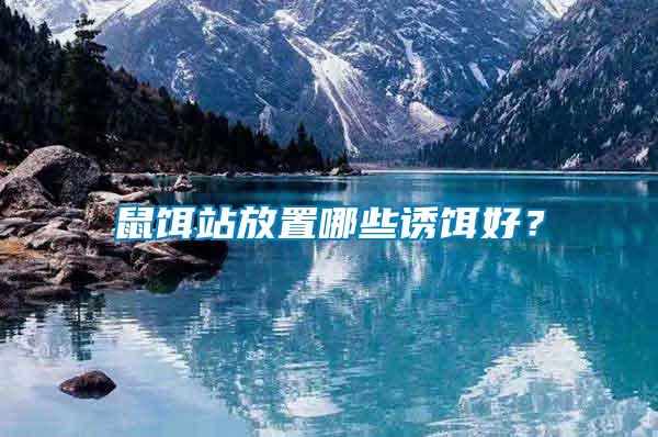 鼠餌站放置哪些誘餌好？