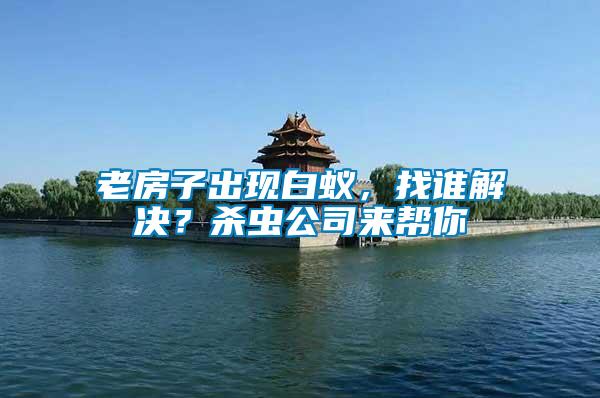 老房子出現(xiàn)白蟻，找誰(shuí)解決？殺蟲公司來(lái)幫你