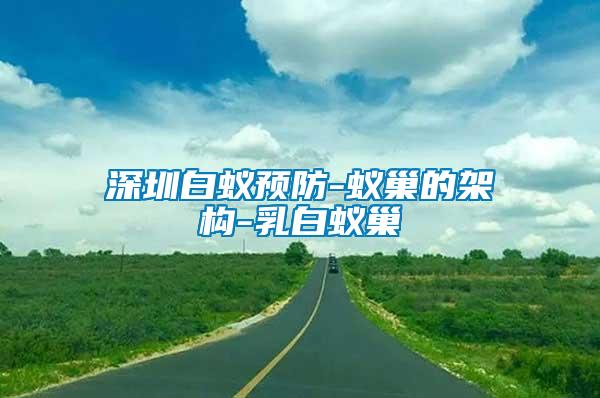 深圳白蟻預防-蟻巢的架構(gòu)-乳白蟻巢