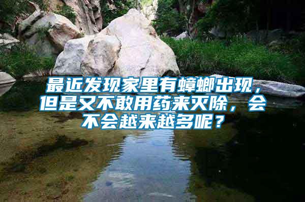 最近發現家里有蟑螂出現，但是又不敢用藥來滅除，會不會越來越多呢？