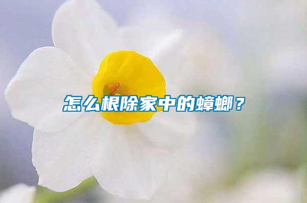 怎么根除家中的蟑螂？