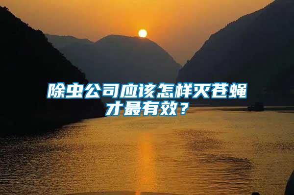 除蟲公司應該怎樣滅蒼蠅才最有效？