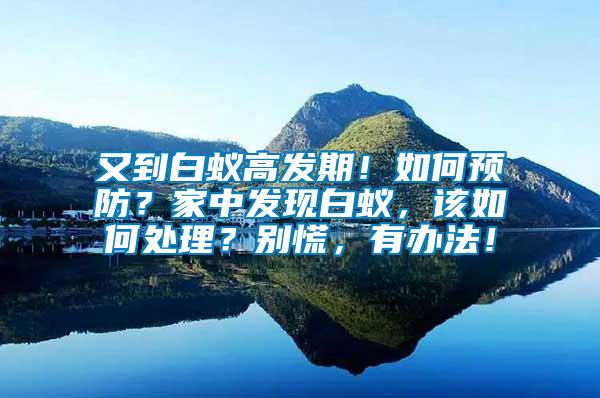 又到白蟻高發期！如何預防？家中發現白蟻，該如何處理？別慌，有辦法！