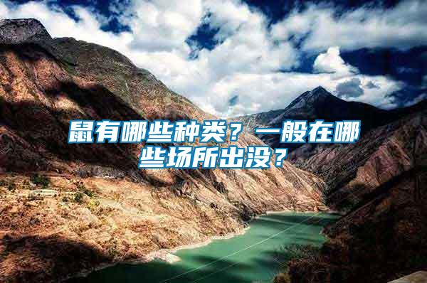 鼠有哪些種類？一般在哪些場(chǎng)所出沒？