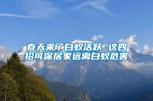 春天來(lái)了白蟻活躍 這四招可保居家遠(yuǎn)離白蟻危害